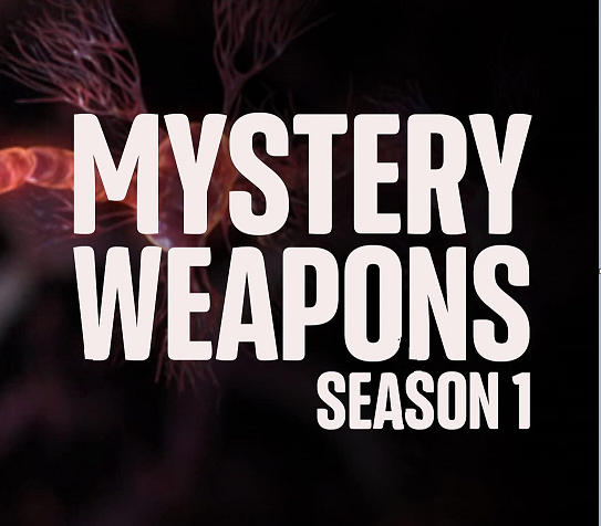 MYSTERY WEAPON AND ZOMBIE CLASS